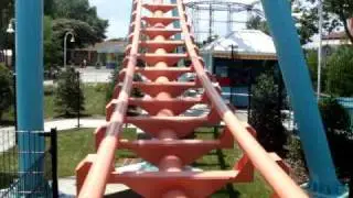 Flying Cobra (Carolina Cobra)