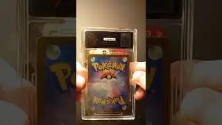 Day In The Life Of A Pok&eacute;mon Card Collector