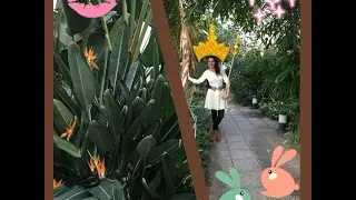 Vlog Royal Leaminghton Spa Krolewskie miasto- uzdrowisko (UK) Czas na podroze