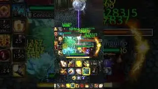 Holy Paladin TWW 11.2.5 Full Celerity Low Rating  #worldofwarcraft