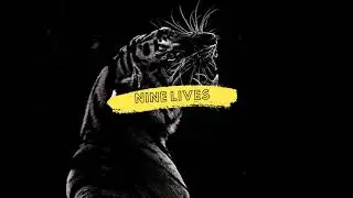 Dancehall Riddim Instrumental 2020 ~ 