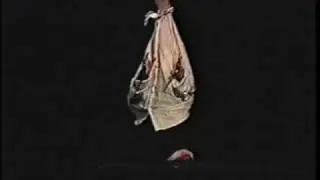 Cuentos Pequeños (Le Avventure di Ginocchio) - Teatro Hugo e Ines