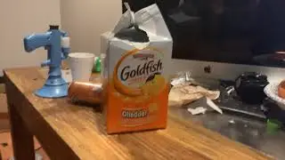 Goldfish