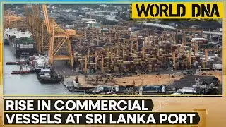 Sri Lanka's port sees jump in traffic amid Red Sea tensions | WION World DNA