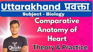 UKPSC Lecturer | BIOLOGY LT | Comparative Anatomy of Heart (Theory and Practice)