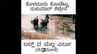 #Kambala Kolachur kondottu |Rocket moda & King Chenna
