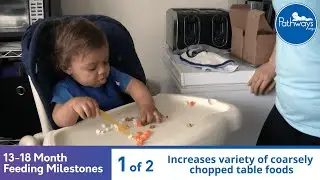 13-18 Month Old Feeding Milestones