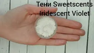 Тени-призматики Sweetscents Iridescent Violet