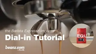beanz.com | A guide to dialing-in Jaguar espresso using the Barista Express&reg; Impress | Breville USA