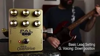 PAL800 GOLD Overdrive - Testing Gain Voicing Switch.