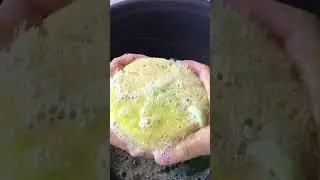 s&uuml;nger sıkma videosu (rahatlatıcı) Kore S&uuml;nger #asmr #asmrsounds #spongeasmr #squeezing #korea