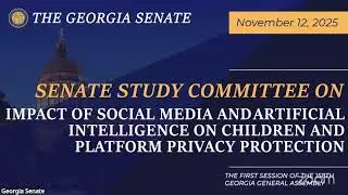 11/12/2025 Impact of Social Media and AI on Children and Platform Privacy Protection