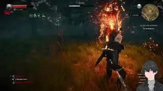 Herr des Waldes Witcher 3 Wild Hunt 4K 60FPS Todesmarsch #gaming #witcher3