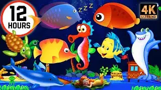 Sleep Instantly Within 3 Minutes ♥ Mozart Brahms Lullaby ♫ Lullaby for Babies to Go to Sleep #419