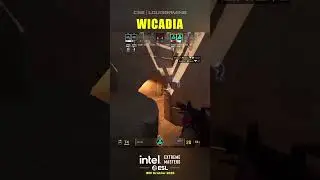 Викадия выиграла это для Авроры! 🎯 #cs2