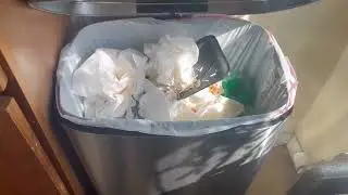 QUALIAZERO Hands Free Stainless Steel Commercial Kitchen Step Trash Can Review