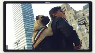 Yoshos Dog Backpack Carrier - Mochila para cargar perros