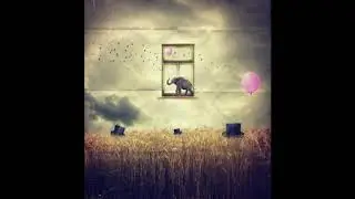 David Wright - Illusions