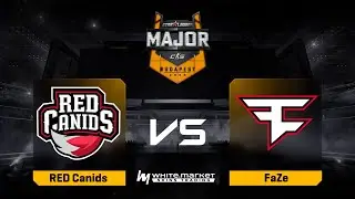 RED Canids проти FaZe | Карта 3 | StarLadder Budapest Major 2025 Stage 1