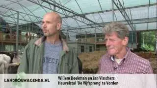 Heuvelstal De Vijfsprong te Vorden