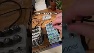 these chords are TOO good  #music #fun #edm #beats #sounddesign #synth #producer #ableton #audio