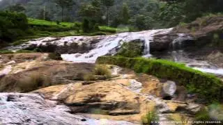 Munnar Travelogue-HD 720p Video Sharing.mov
