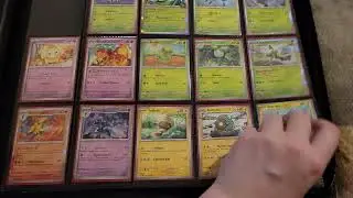 Pokedex binder so far.