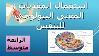 درس 10:استعمال المغذيات : التنفس الخلوي علوم طبيعية السنة الرابعة متوسط