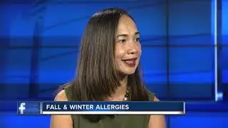 How to deal with fall and winter allergies