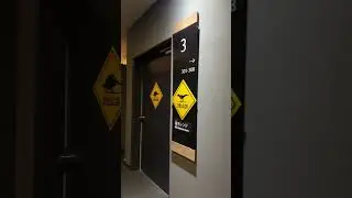 Dinosaur Room Theme @ Cooju Hotel