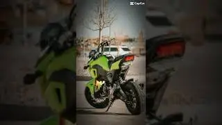 Grom Life