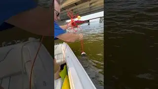 I found GOLD at the bottom of a lake: #magnetfishing