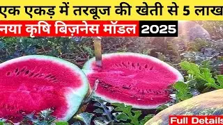 तरबूज की बंपर पैदावार! Tarbuj Ki Kumper Paidavar