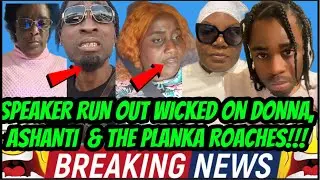 RUN COME! MICHELLE RUN 0UT W!CKED ON DONNA, ASHANTI AND THE PLANKA ROACHES!