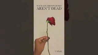 🌹How to Revive Wilted Roses in Minutes - Easy Flower Care Tip!