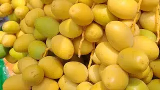GK Fresh dates - Fresh Barhee dates for sale from farm to home. Please contact @9948444000