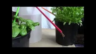 Capillary Irrigation