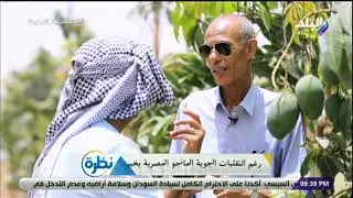 يوصل وزن الواحدة 750 جرام .. تعرف على أفضل أنواع المانجو  في مصر