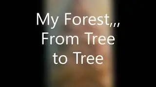 Carving a Forest