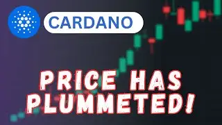 Cardano (ADA) Price Analysis - Here's Why ADA Crashed