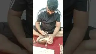 🤯 Watch! How Beautiful Punjabi Juttis Are HANDMADE#HandmadeJutti#WomensFootwear#mohsinbes#Artisan