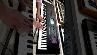 Roland Fantom 7 EX performance #keyboard #synth #music
