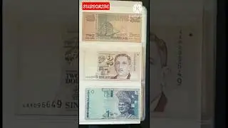 Foreign Currency Collection #banknotecollection #foreign #trendingshorts