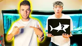 LE REGALO A YOSOYPLEX UNA CAJA MISTERIOSA DE PECES para SU ACUARIO