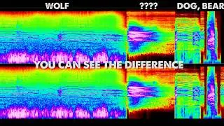 Bone Chilling Howl!  - Strange Noise Caught on Video - UPDATE (ThinkerThunker)