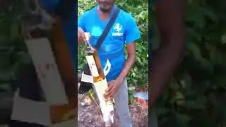 biggest Tamil drinker omg strictly for bachelor's 😱😨