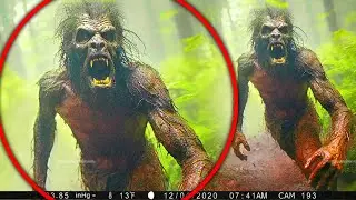 UNKNOWN PREDATOR ATTACKS TRAIL CAM