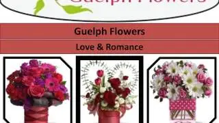 Guelph Flowers (888) 379-5459
