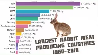Largest Rabbit Meat Producing Countries in the World 1960-2019
