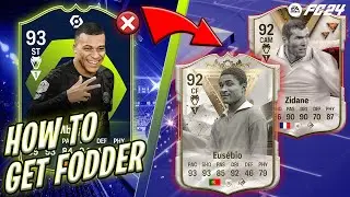 PROJECT BUILDING FODDER ✅👀